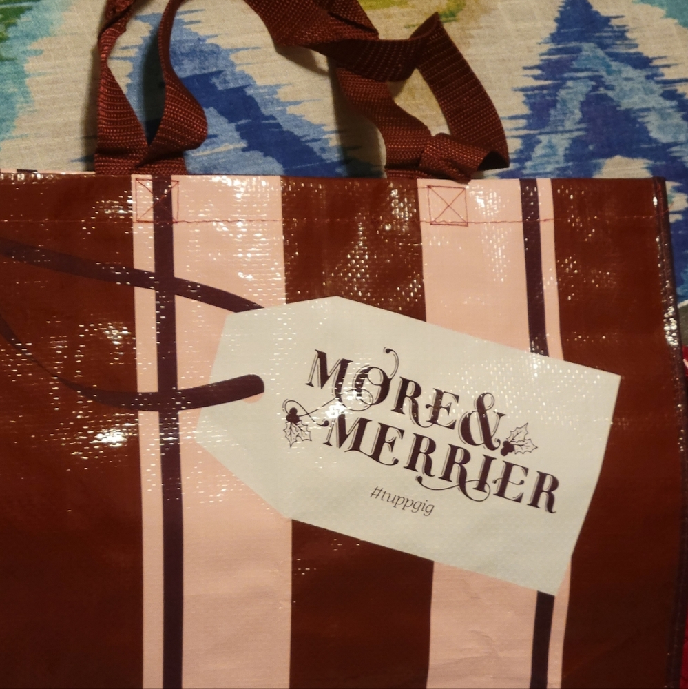 🎄Tupperware Reusable Shopping or Gift Bag🎄